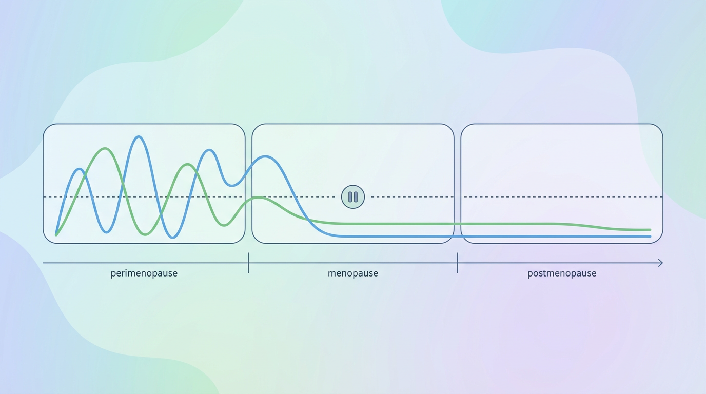 Fases da transição menopausal mostrando variação hormonal